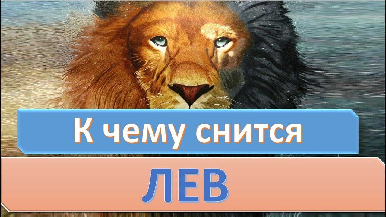 Знак зодиака лев: особенности, сильные и слабые стороны, совместимость