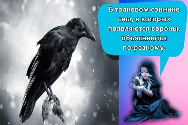 Ворона во сне: значение, толкование. сонник: черный ворон - tolksnov.ru