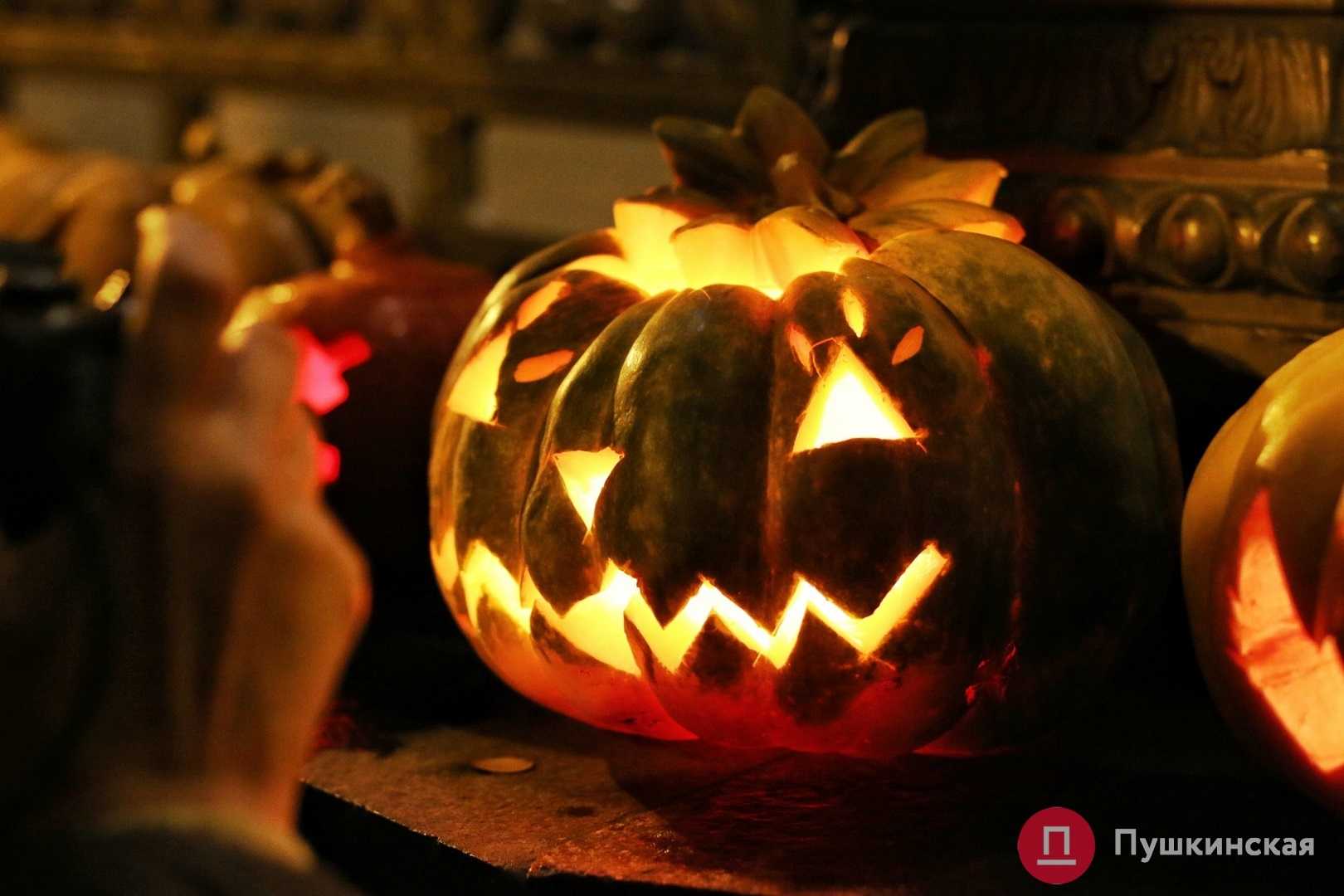 Сладости на хэллоуин – 10 «гадких» и «страшных» рецептов — приколись — смешные приколы — видео про животных, полезные истории, картинки о путешествиях