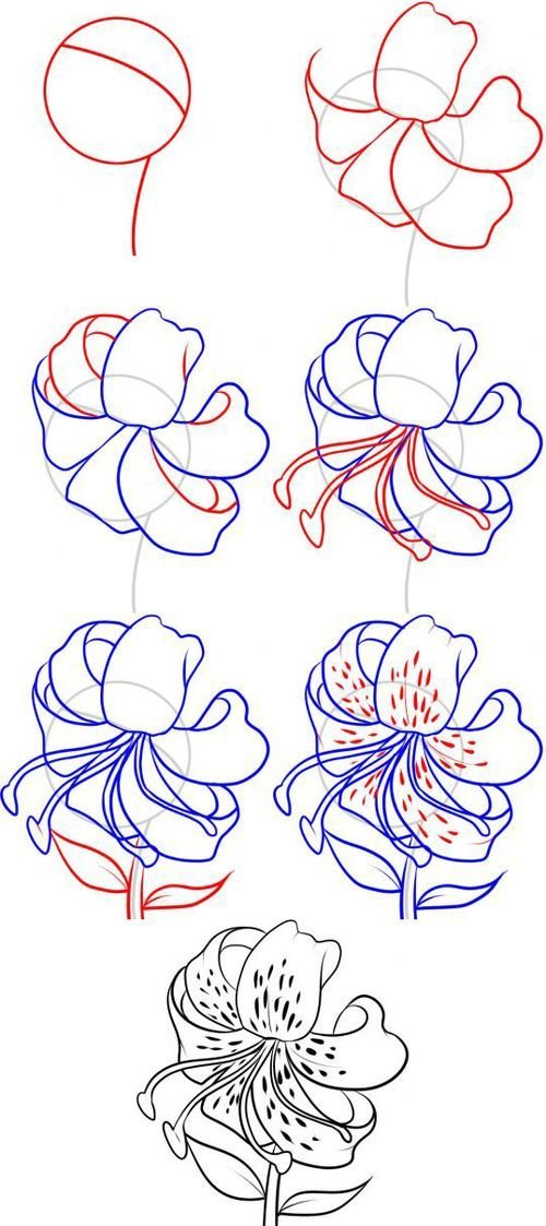 Как нарисовать цветы поэтапно