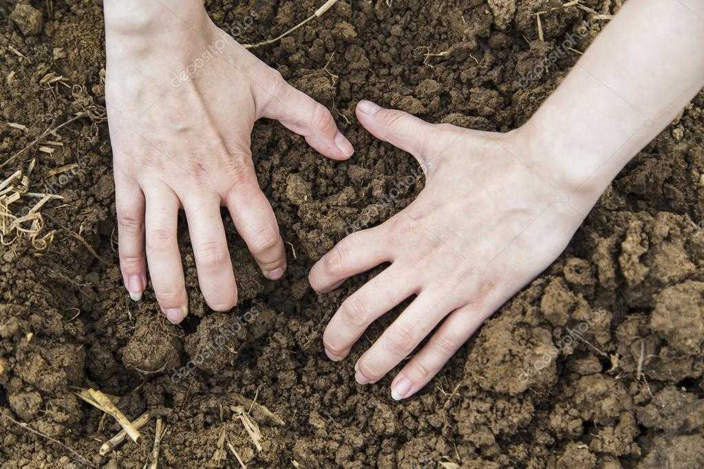 Сонник: копать землю. значение и толкование :: syl.ru