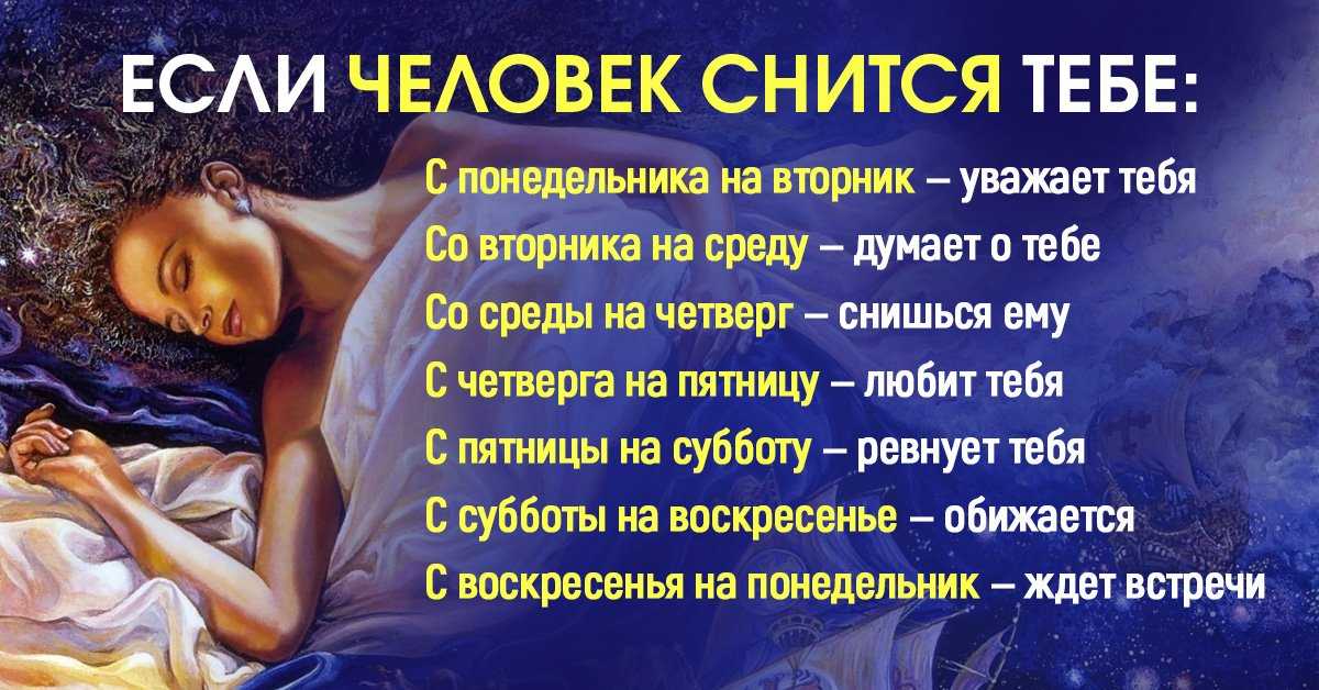 К чему снится лев? толкование снов про львов - tolksnov.ru