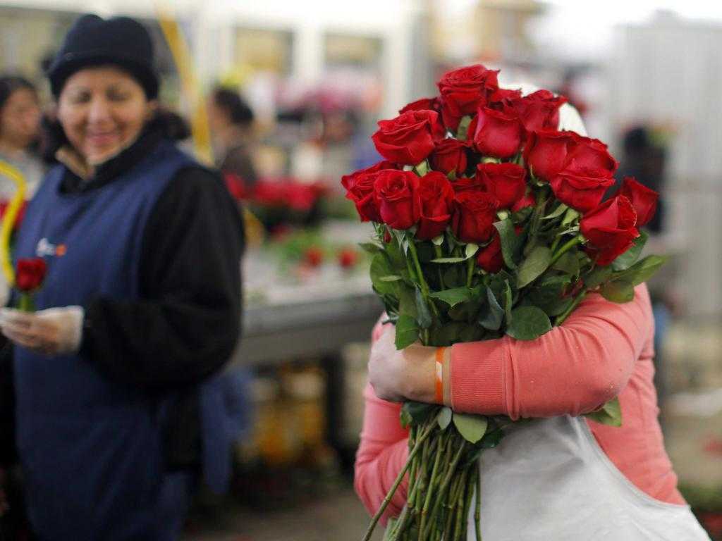 К чему снится когда дарят цветы живые. Букет цветов в руках. Сон дарят цветы живые женщине. Цветы подарок для девушки. К чему снится дарить цветы.