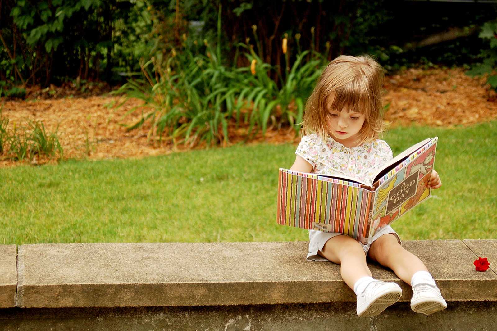 Что читать младшим школьникам: 7 книг для внеклассного чтения | саморазвитие | wb guru