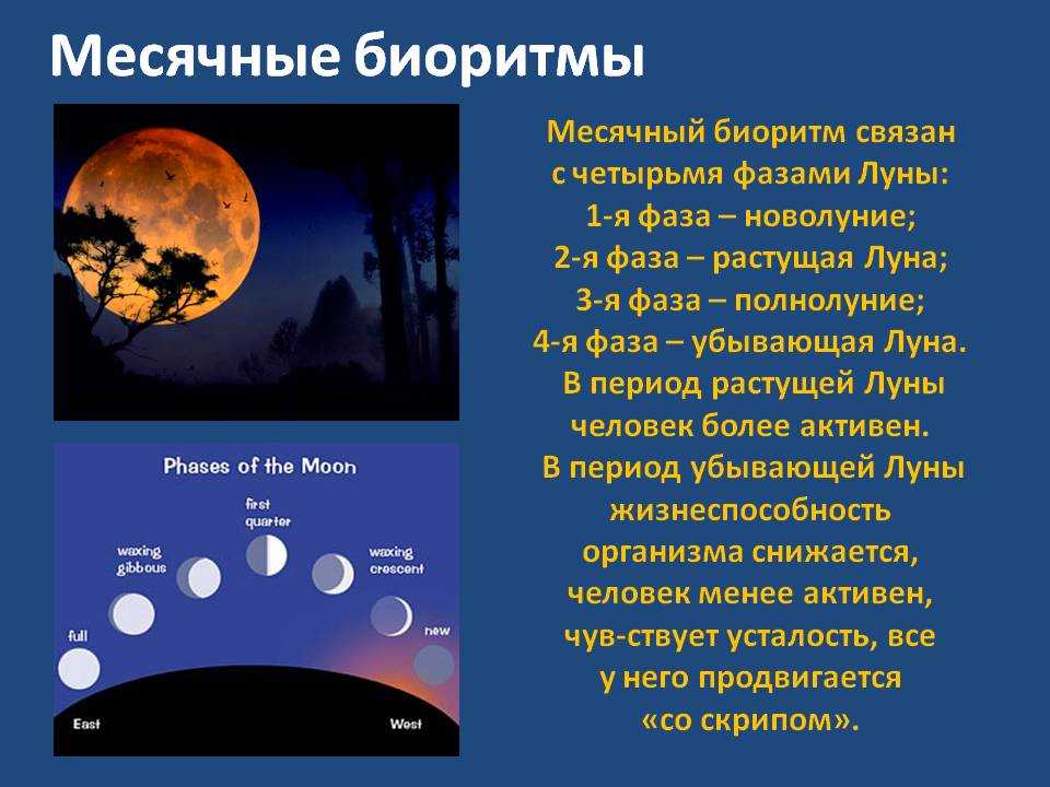 Как луна влияет на человека? - hi-news.ru