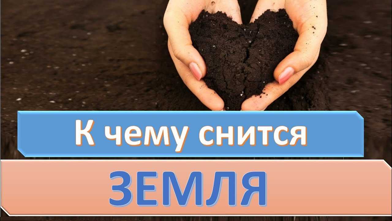 Сонник: копать яму, копать землю. толкование снов - tolksnov.ru