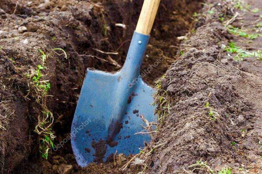 К чему снится копать землю лопатой в огороде