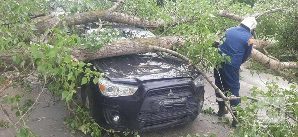 К чему снится ветер сильный на улице. Машина на дереве. Сильный ветер деревья. Упавшее дерево в Казани 7 июня.
