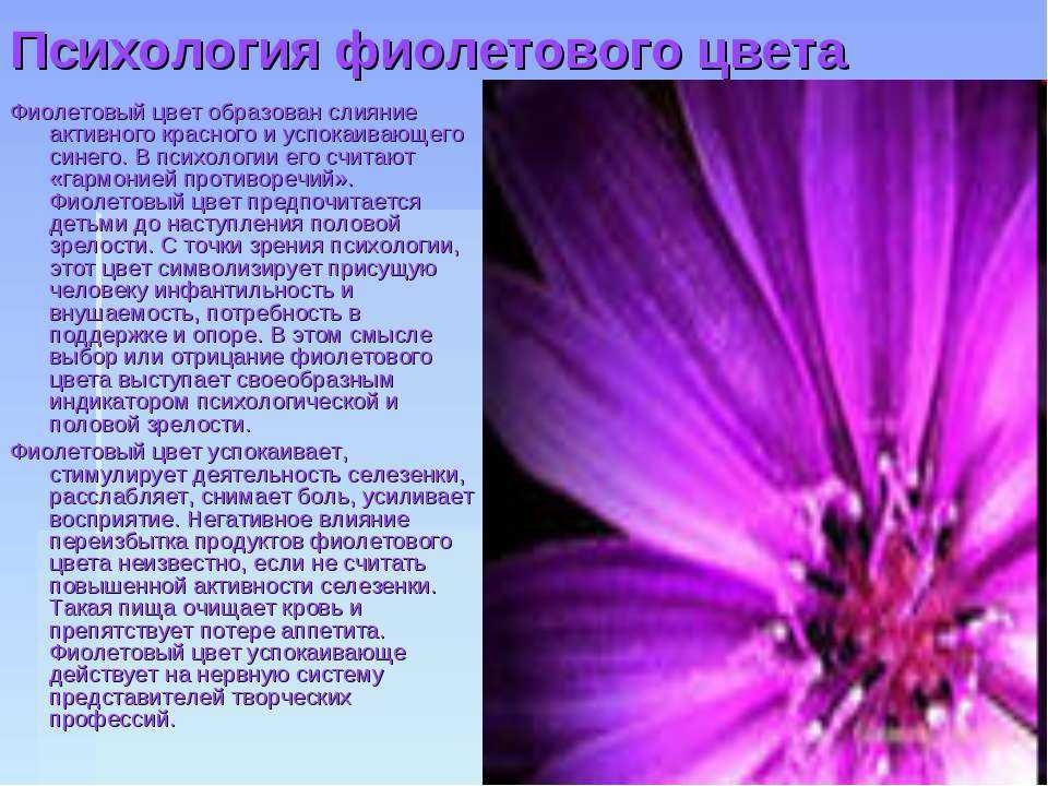 Что означает фиолетовый, сиреневый цвет в психологии человека, мужчин, женщин, в интерьере, тяга к фиолетовому и сиреневому цвету?