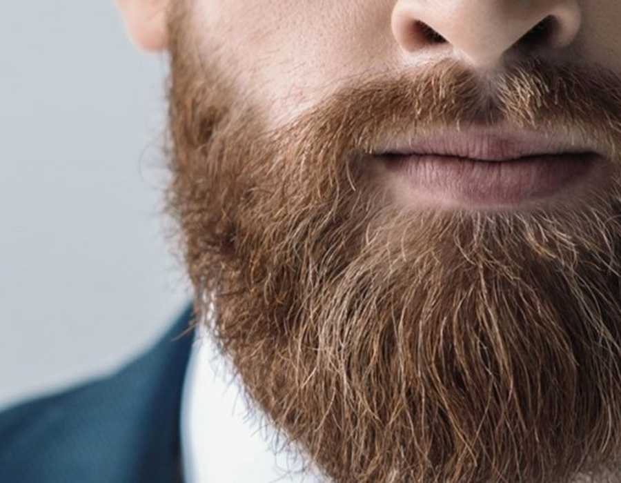 Борода виды стрижки фото и названия