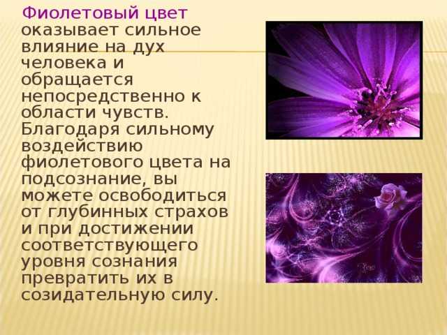Фиолетовый цвет в психологии и его значение для женщин и мужчин