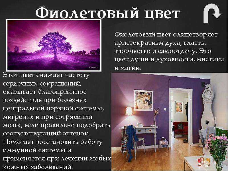 Фиолетовый цвет в психологии — inormal — психология и жизнь