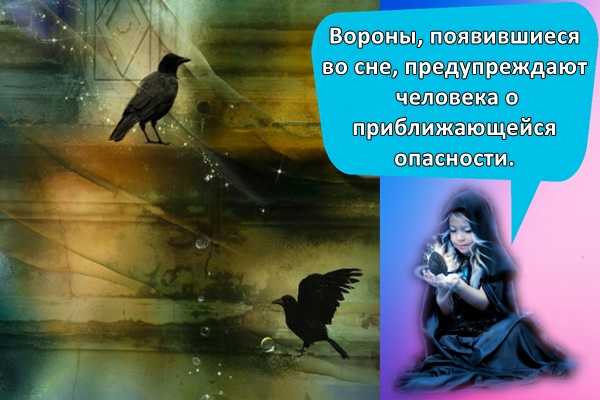 К чему снятся вороны: видеть во сне чёрную или белую, мёртвую, говорящую, залетевшую в окно птицу, приснилась стая в небе, птенец в доме
