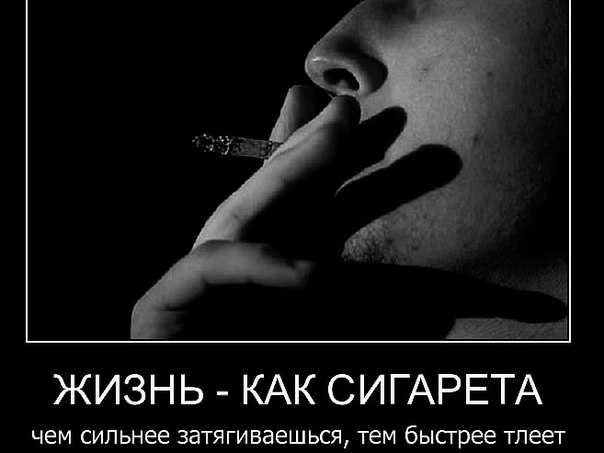 Сильно затягивает. Жизнь как сигарета. Статусы про сигареты. Ты как сигарета. Красивые цитаты про сигареты.